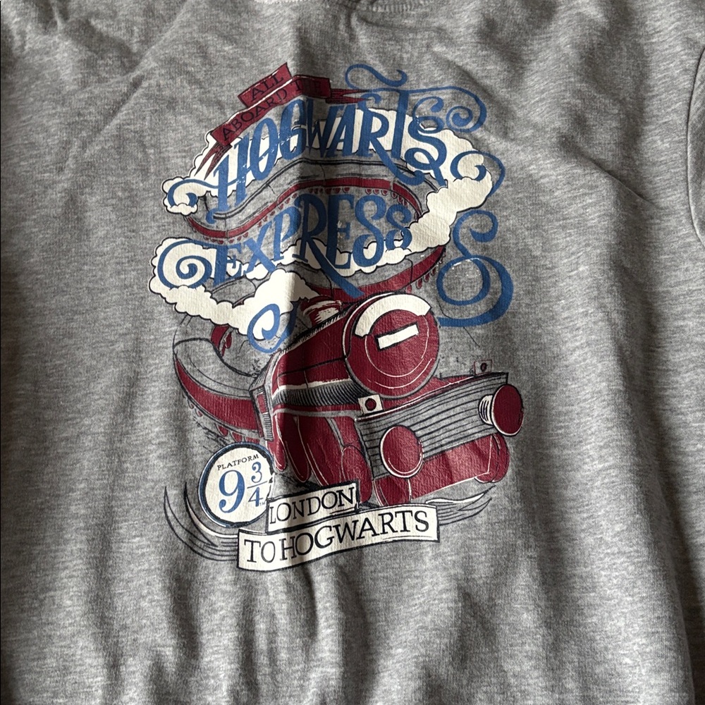 Wizarding World of Harry Potter Hogwarts Express kids hoodie - Picture 2 of 6
